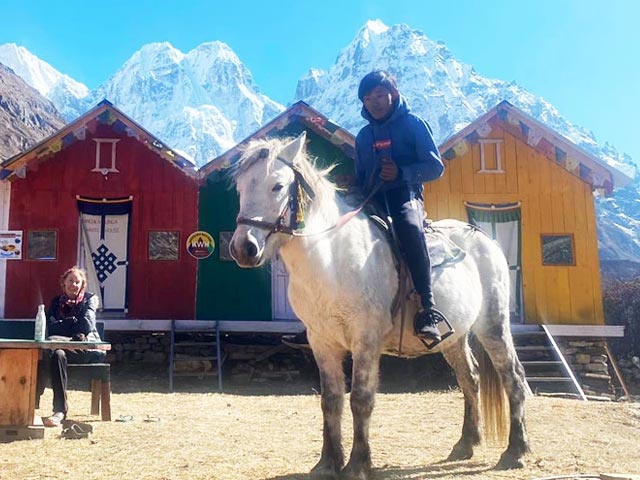Horse Riding